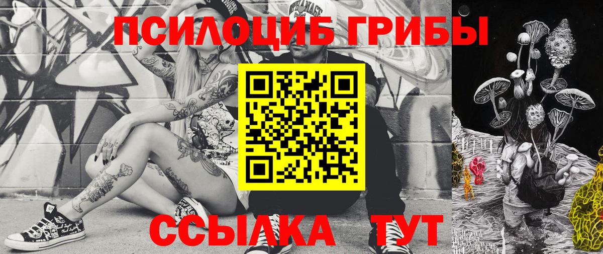 Псилоцибиновые грибы прущие грибы Тобольск