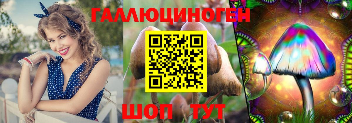 купить наркоту  Псилоцибиновые грибы MAGIC MUSHROOMS  Вход с VPN  Тобольск 